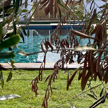 Ré-lax - - Piscine Couette-café 4*